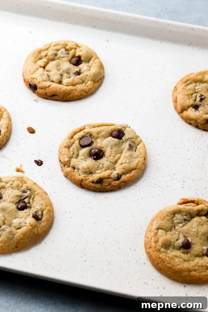 chocolate chip cookies fresh out the oven on baking sheet