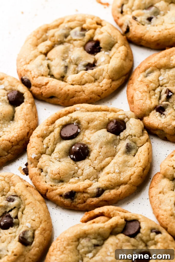 chocolate chip cookies sitting next to each other