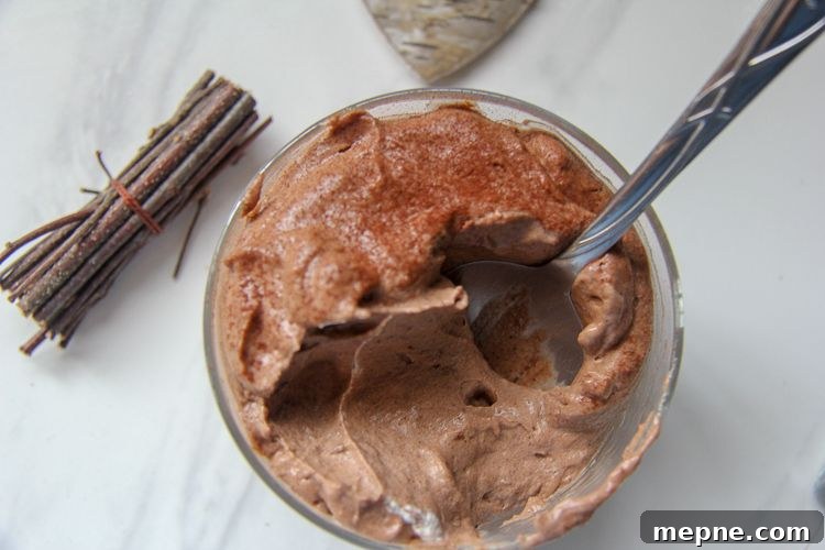 Decadent Avocado Chocolate Gingerbread Mousse Recipe 2 a creamy chocolate avocado mousse