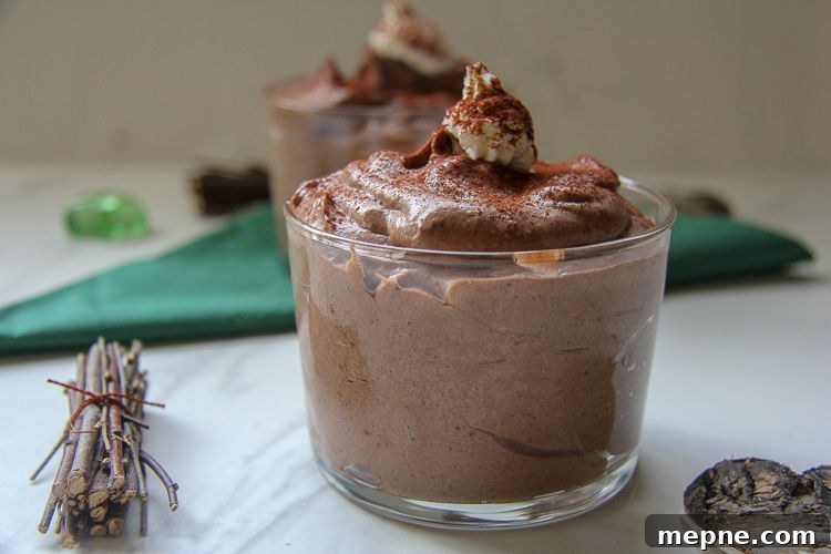 Decadent Avocado Chocolate Gingerbread Mousse Recipe 4 a creamy chocolate avocado mousse
