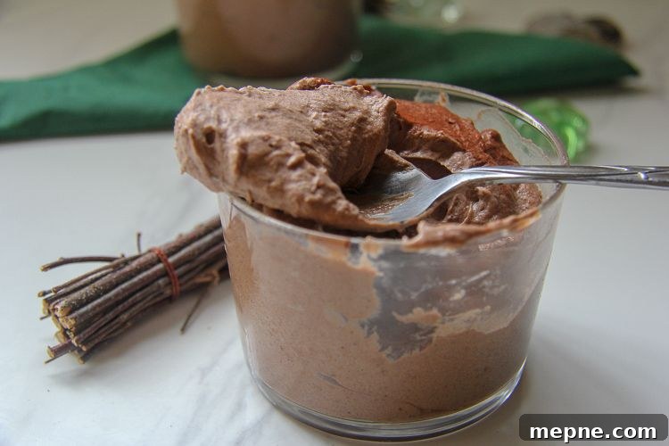 Decadent Avocado Chocolate Gingerbread Mousse Recipe 5 a creamy chocolate avocado mousse