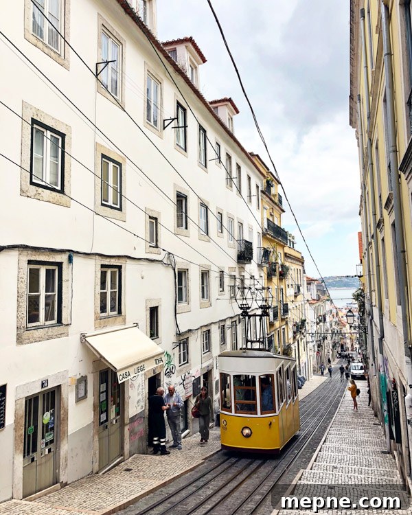 Lisbon, Portugal: A Hedonist's Guide to Food and Wellness 3 img 20207 2