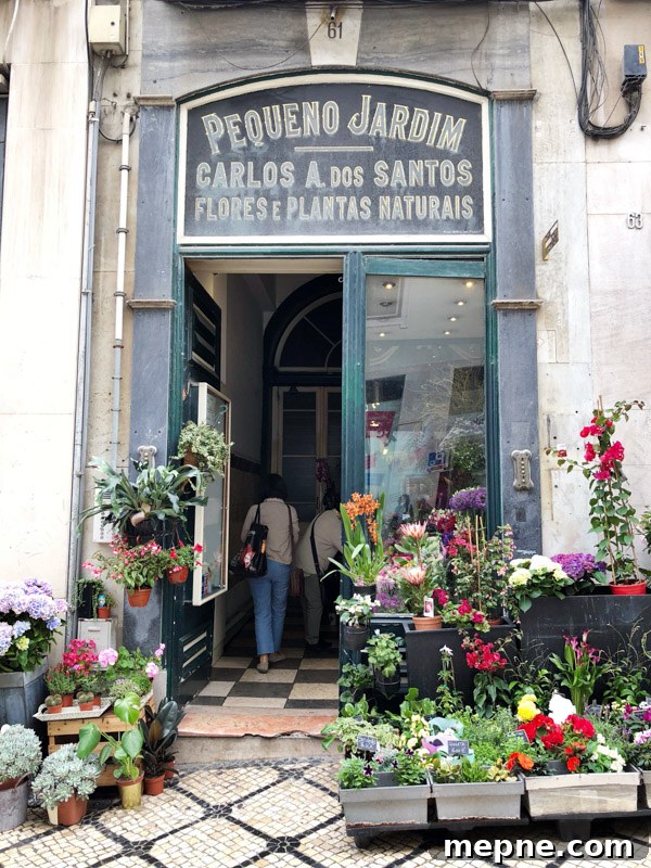 Lisbon, Portugal: A Hedonist's Guide to Food and Wellness 20 img 20207 26