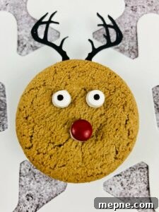 Homemade Soft Chewy Ginger Molasses Cookies Recipe 7 Gingerbread Reindeer Cookies