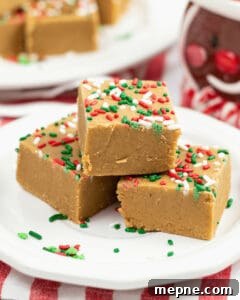 Homemade Soft Chewy Ginger Molasses Cookies Recipe 8 Gingerbread Fudge