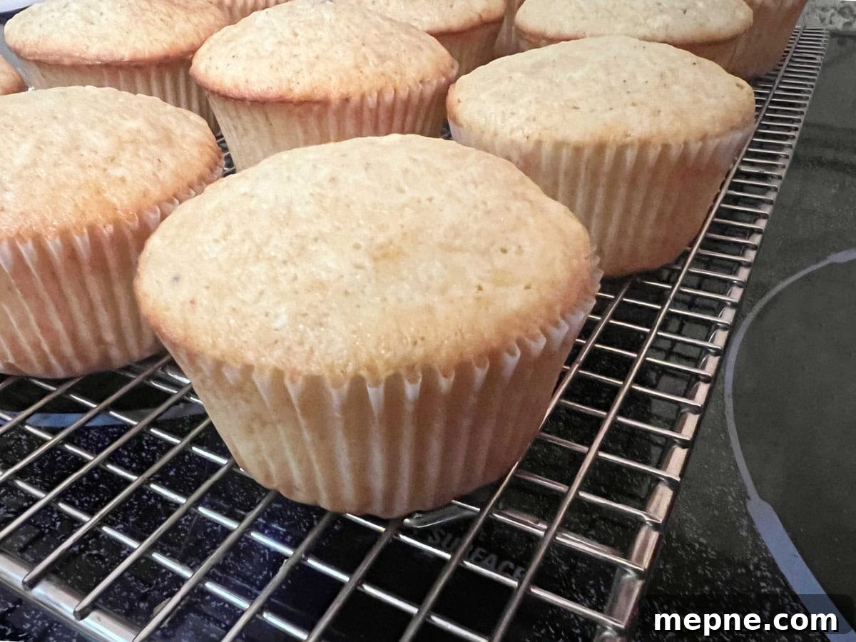 Eggnog Cupcakes, cooling on a wire rack.