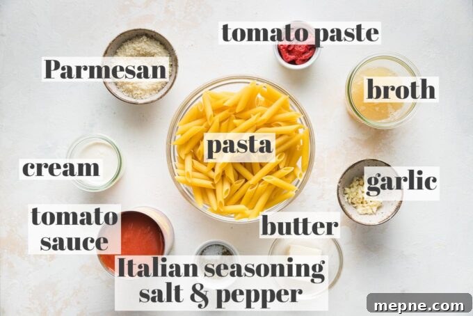 Labeled photo of pasta, Parmesan, tomato sauce and paste, garlic, broth, cream, and Italian seasoning measured into prep bowls.