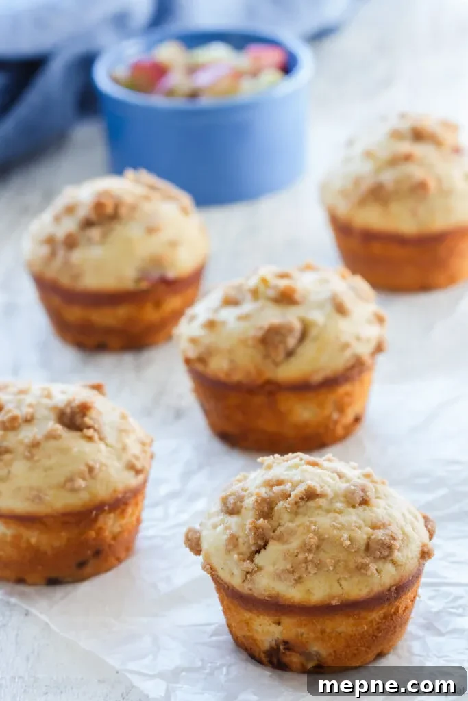 rhubarb muffins