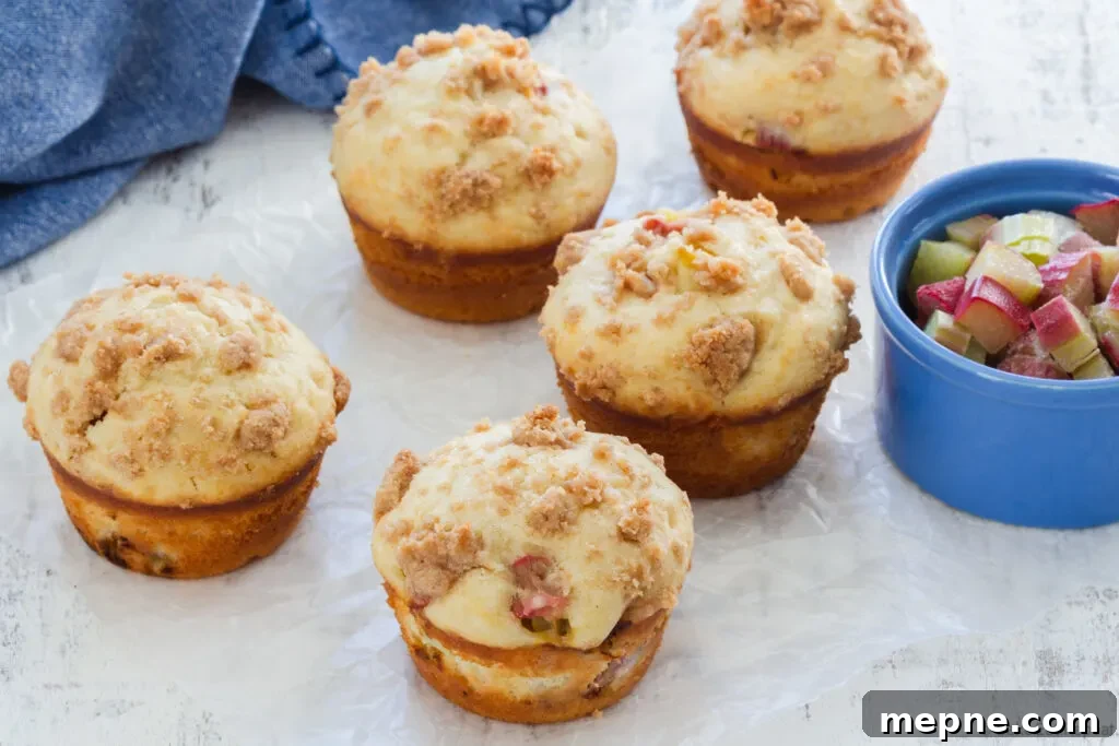 rhubarb muffins with brown sugar streusel topping