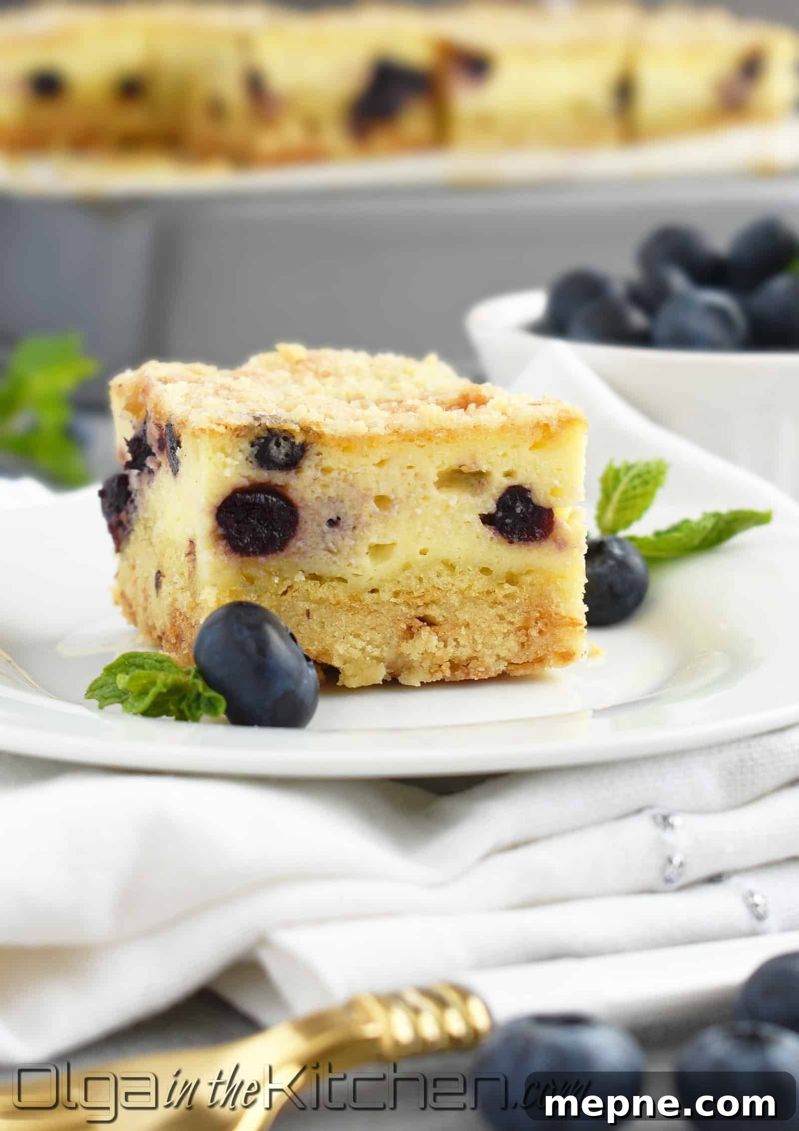 Blueberry Crumb Cake with Farmers Cheese Recipe 2 Farmer’s Cheese Blueberry Crumb Cake: slightly sweet, creamy and buttery with a little blueberry hint; Ukrainian kind of cheesecake! | olgainthekitchen.com