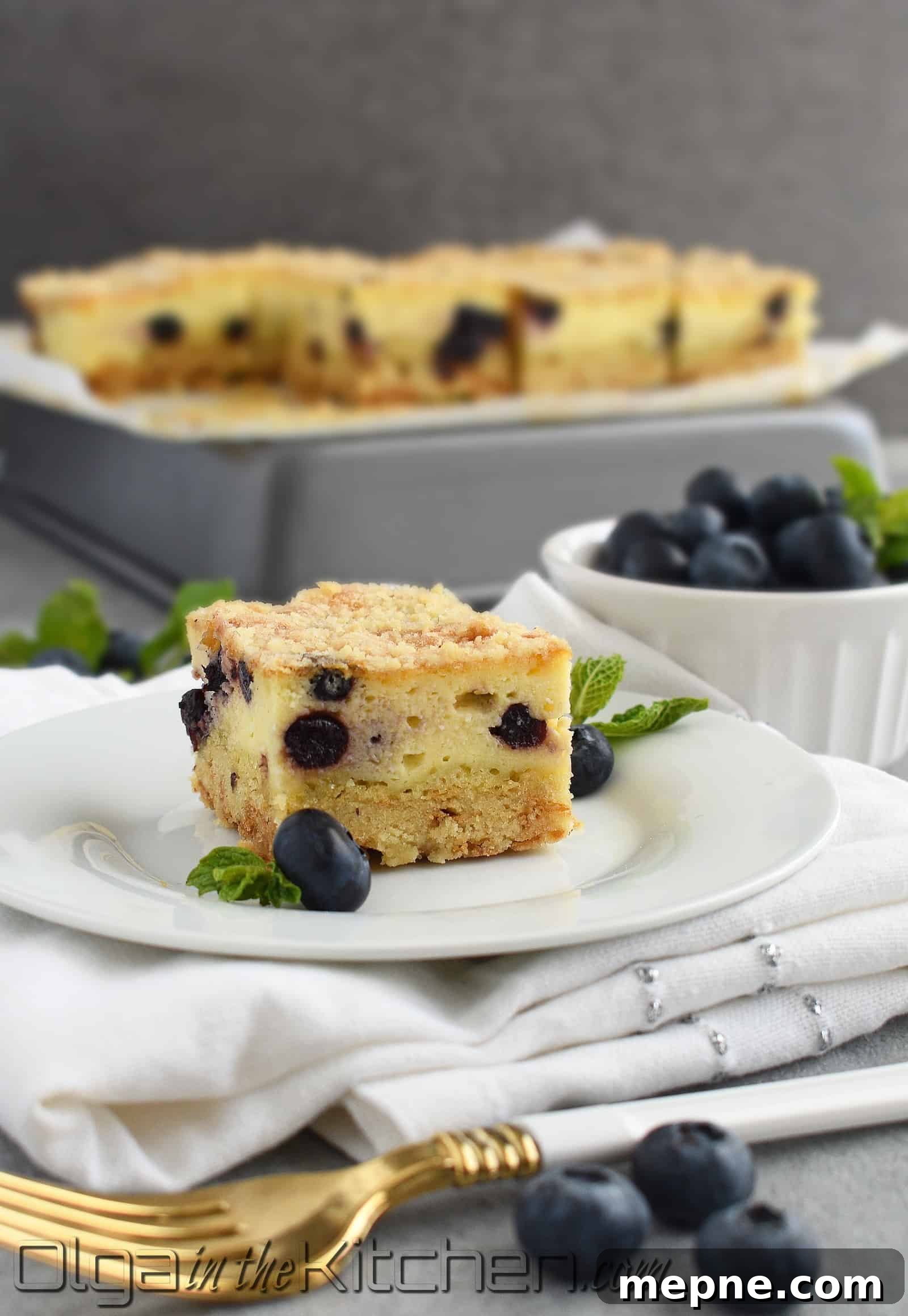 Blueberry Crumb Cake with Farmers Cheese Recipe 11 img 2257 10