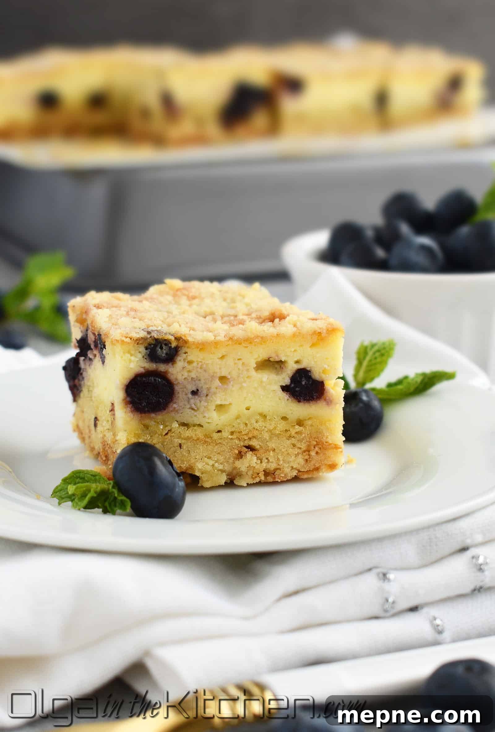 Blueberry Crumb Cake with Farmers Cheese Recipe 3 img 2257 2
