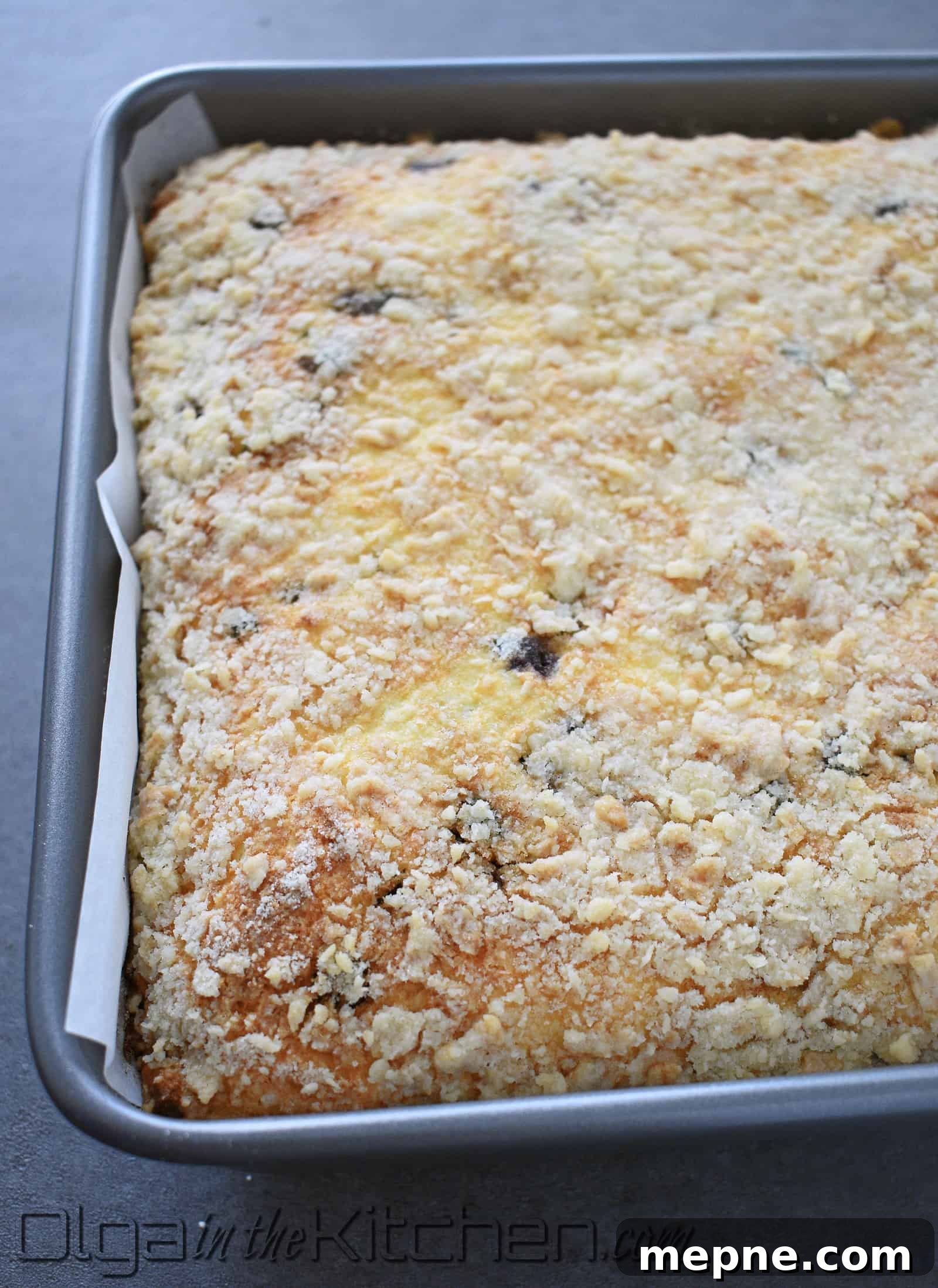 Blueberry Crumb Cake with Farmers Cheese Recipe 9 img 2257 8