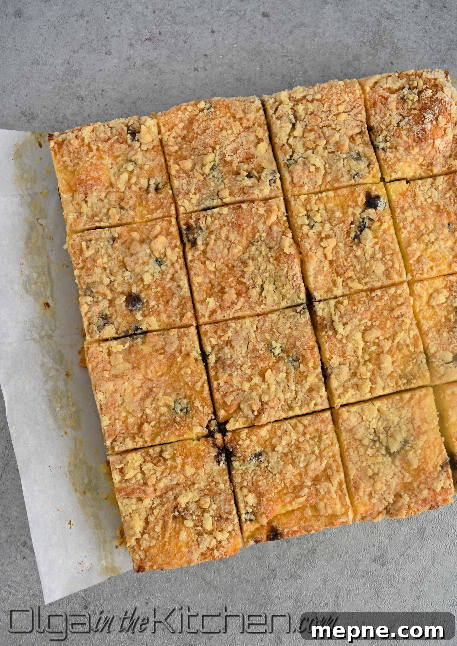 Blueberry Crumb Cake with Farmers Cheese Recipe 10 img 2257 9
