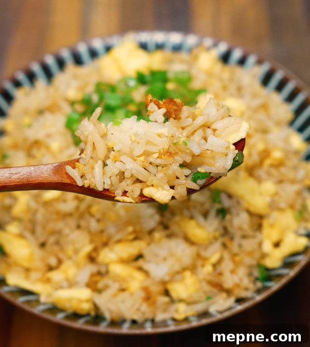 crispy egg fried rice on spoon close up – easy Asian rice recipe
