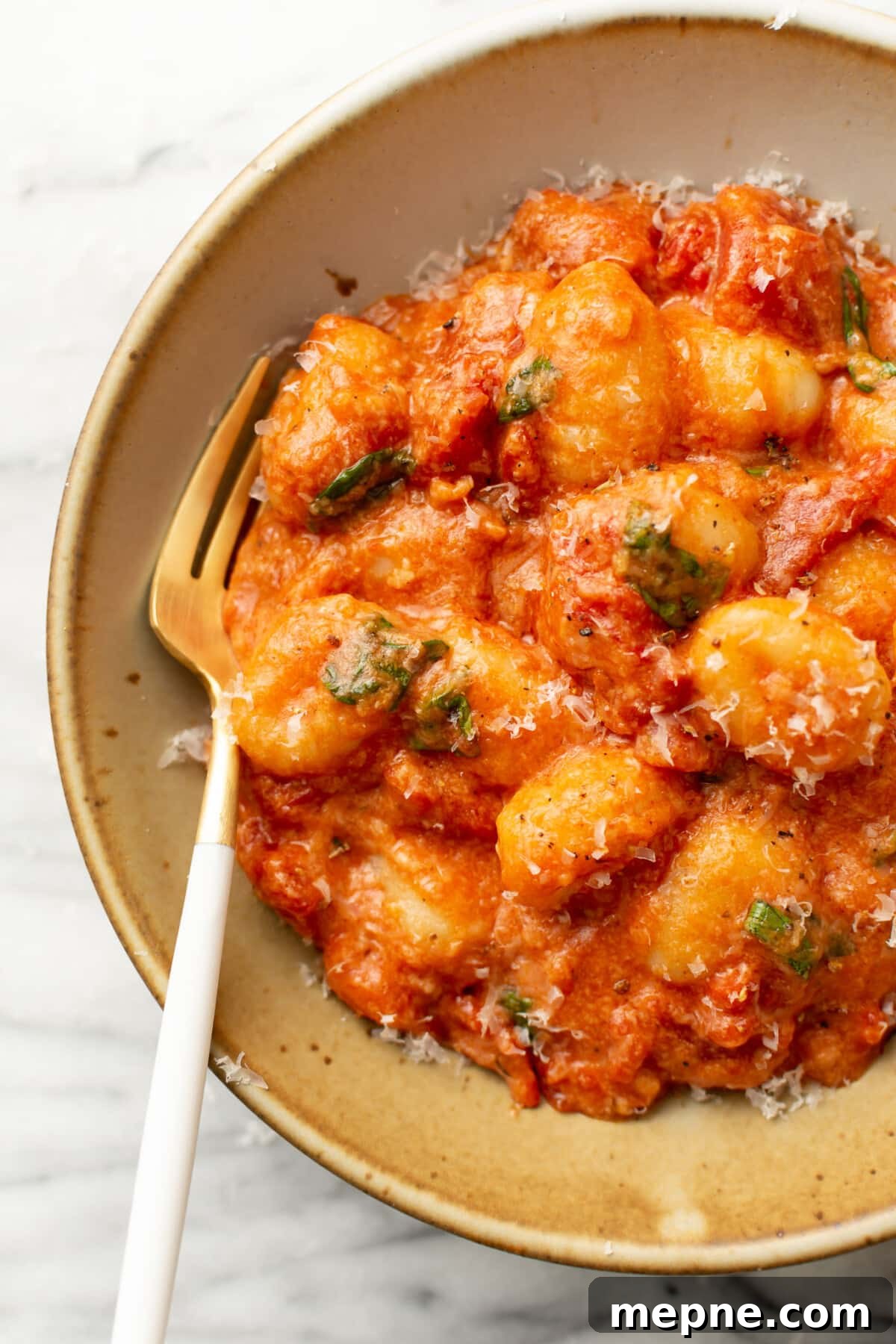 Homemade Gnocchi with Tomato Sauce 6 a bowl of gnocchi with tomato sauce and a fork