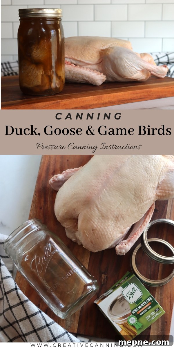 How to Can Duck and Goose Meat Safely 7 Canning Duck and Goose