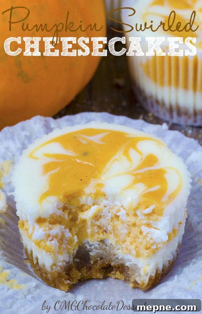 Mini Pumpkin Swirl Cheesecakes 2 Mini Pumpkin Swirled Cheesecakes with pumpkin and cheesecake swirls