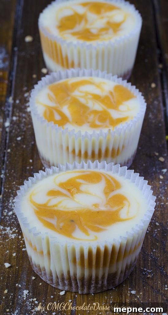 Mini Pumpkin Swirl Cheesecakes 3 Pumpkin swirled cheesecake dessert with creamy filling