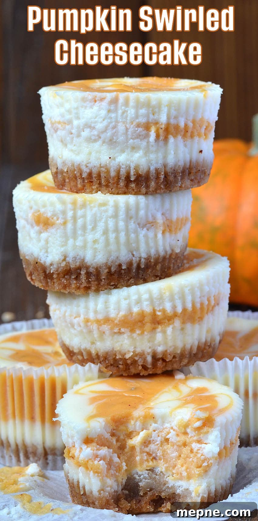 Mini Pumpkin Swirl Cheesecakes 4 Pumpkin Swirled Cheesecake