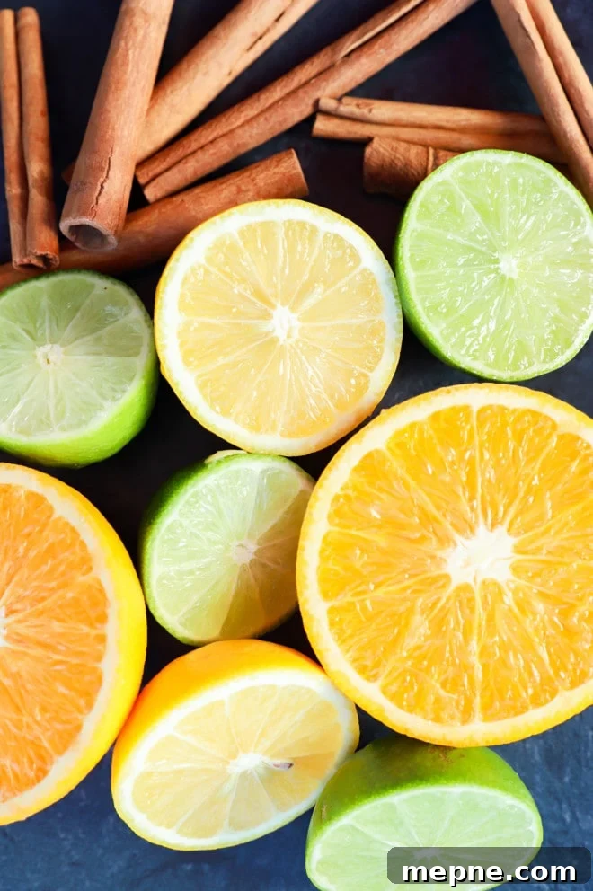 Spiced Rum Punch Recipe with Citrus and Warm Spices 3 Sliced citrus fruits and cinnamon sticks ingredients for spiced rum punch