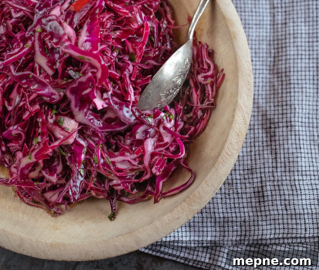 Red Cabbage Salad with Herbs Whole30 Recipe from Smart in the Kitchen