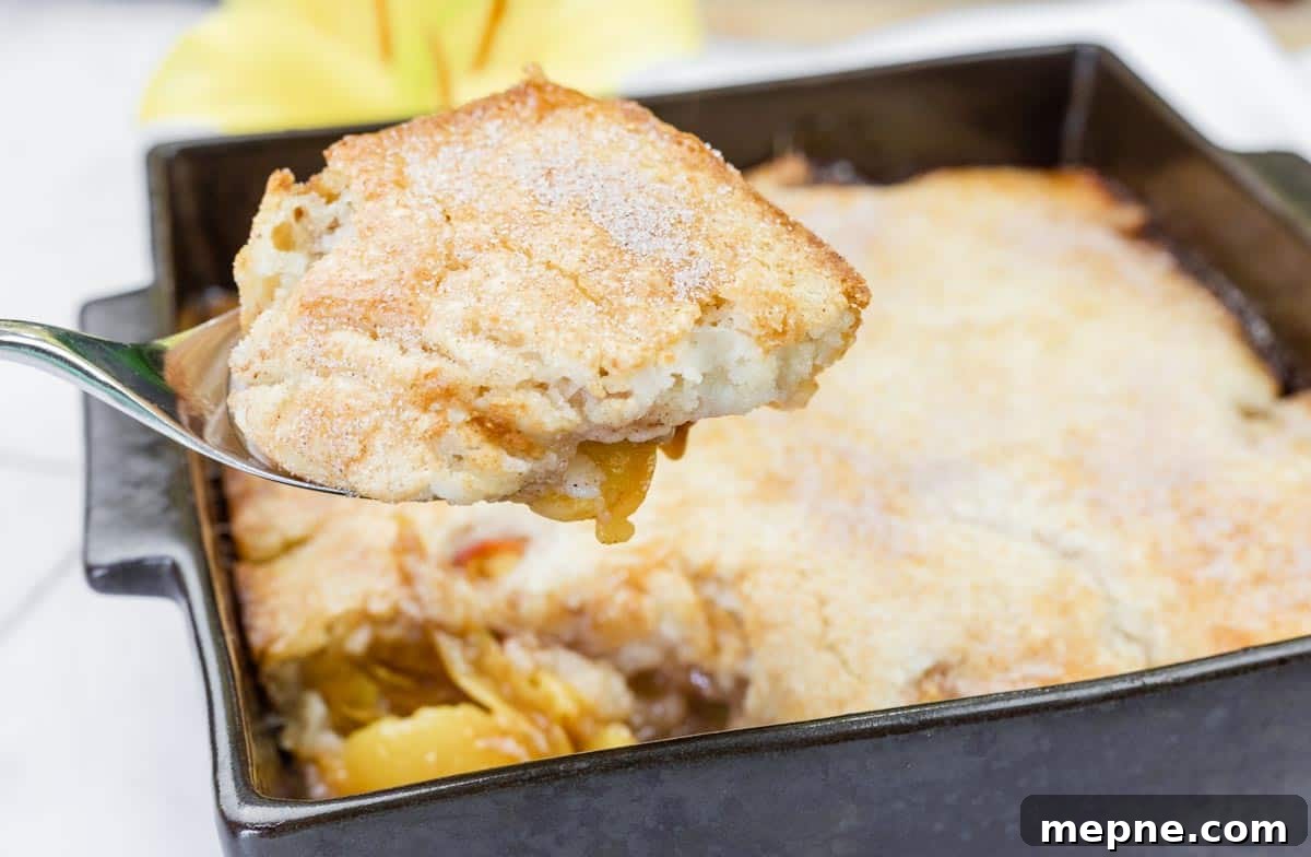 31 Southern Recipes That Belong in Your Dinner Rotation 24 A close-up of a spoon holding a serving of peach cobbler above a baking dish filled with the dessert.