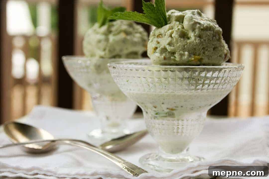 Creamy Pistachio Mint Frozen Yogurt Recipe 2 Pistachio Mint Frozen Yogurt