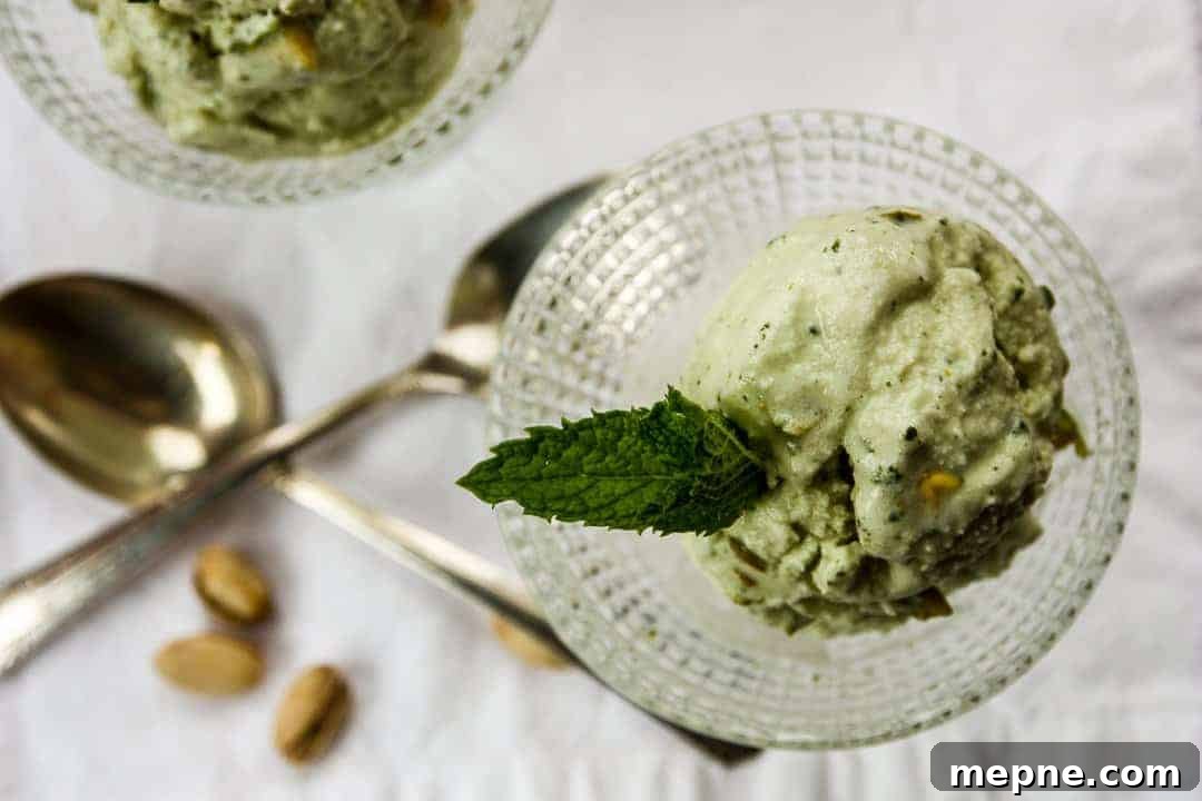 Creamy Pistachio Mint Frozen Yogurt Recipe 3 Pistachio Mint Frozen Yogurt