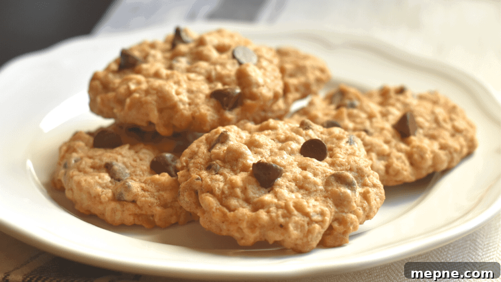 Oatmeal Chocolate Chip Cookies Recipe 2 Oatmeal chocolate chip cookies