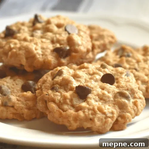 Oatmeal Chocolate Chip Cookies Recipe 6 Oatmeal chocolate chip cookies
