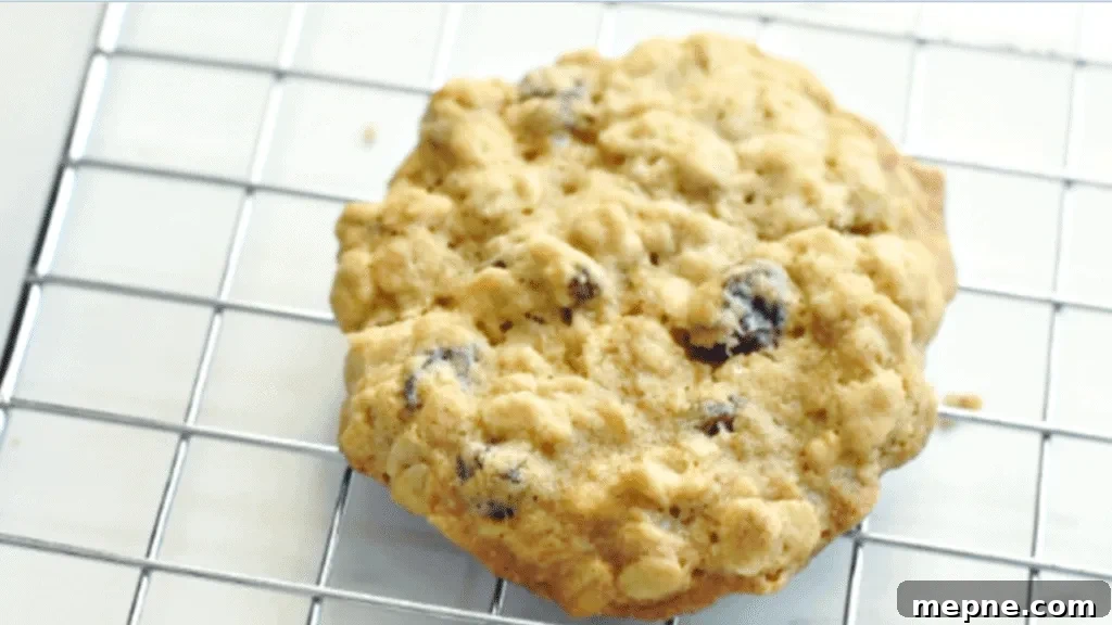 Oatmeal Chocolate Chip Cookies Recipe 7 oatmeal raisin cookies