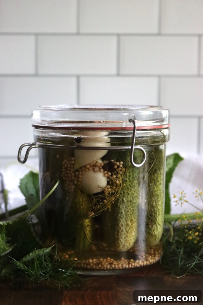Crunchy Garlic Dill Pickles Recipe 3 Garlic Dill Pickles