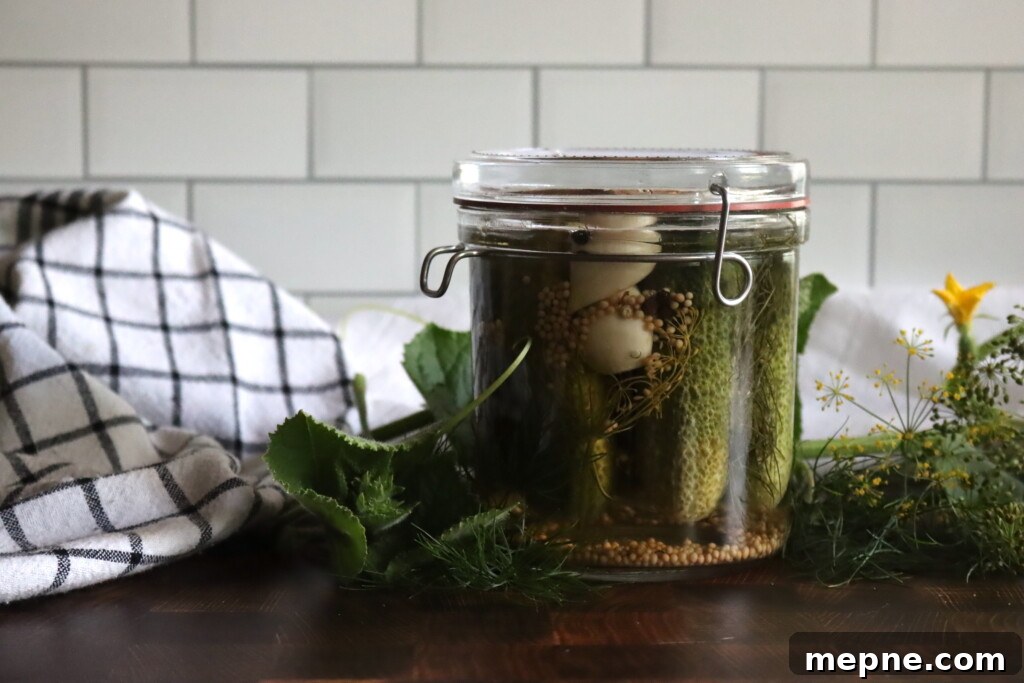 Crunchy Garlic Dill Pickles Recipe 5 Garlic Dill Pickles