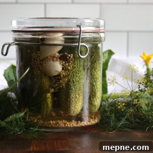 Crunchy Garlic Dill Pickles Recipe 6 Garlic Dill Pickles