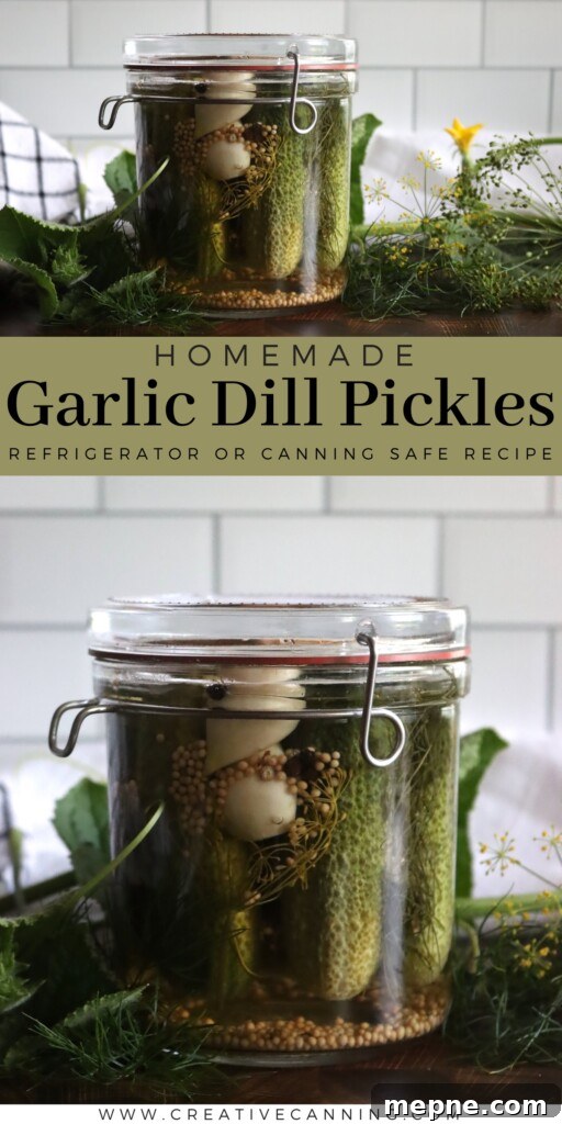 Crunchy Garlic Dill Pickles Recipe 7 Garlic Dill Pickles Recipe