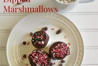 Gourmet Chocolate Dipped Marshmallows