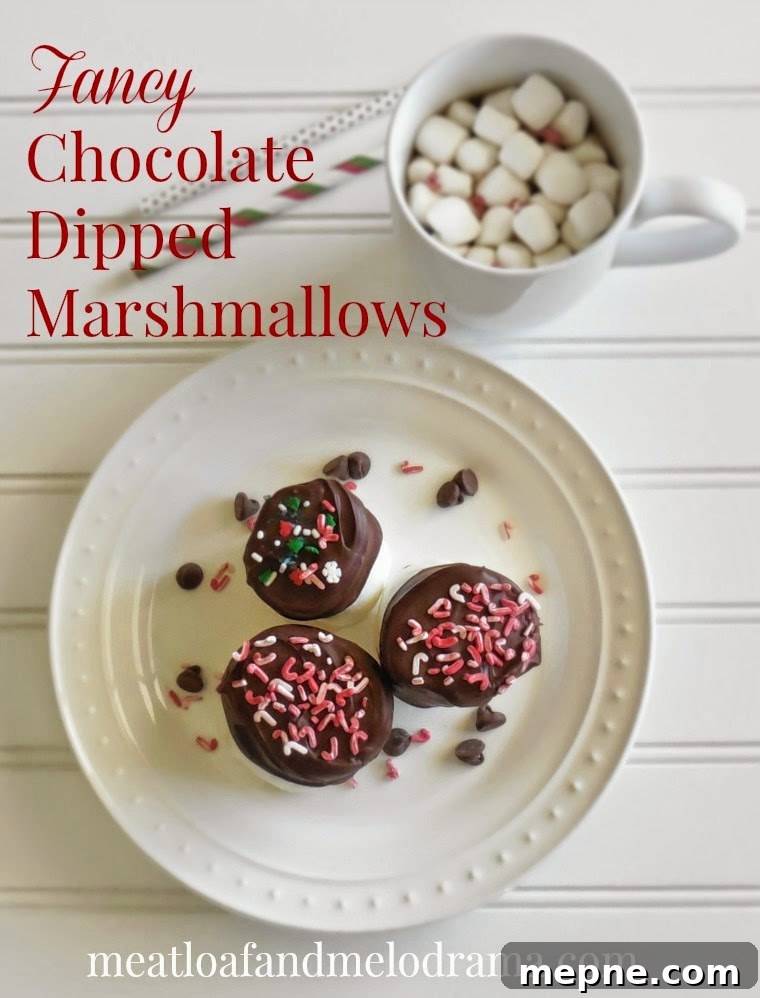 Fancy Chocolate Dipped Marshmallows chocolate covered and chocolate dipped marshmallows with candy sprinkles and hot chocolate