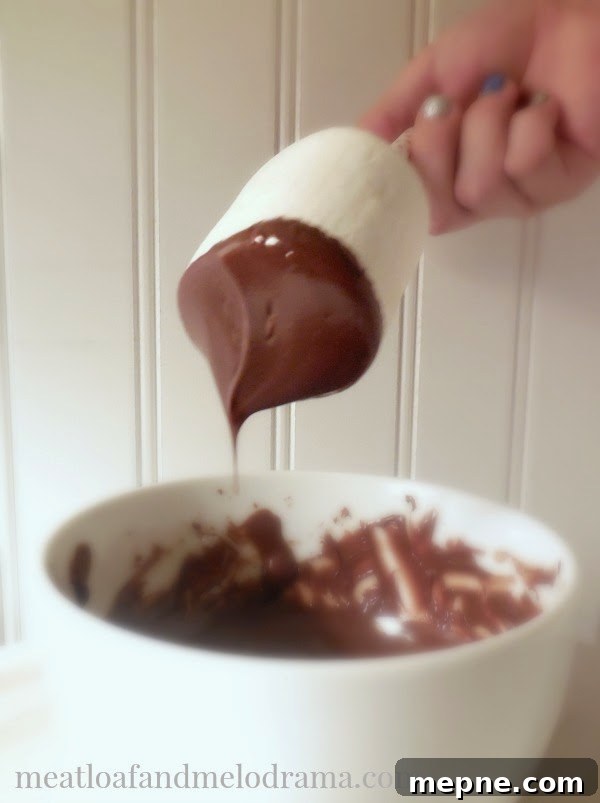 Fancy chocolate dipped marshmallows dip jumbo marshmallow into bowl of melted chocolate