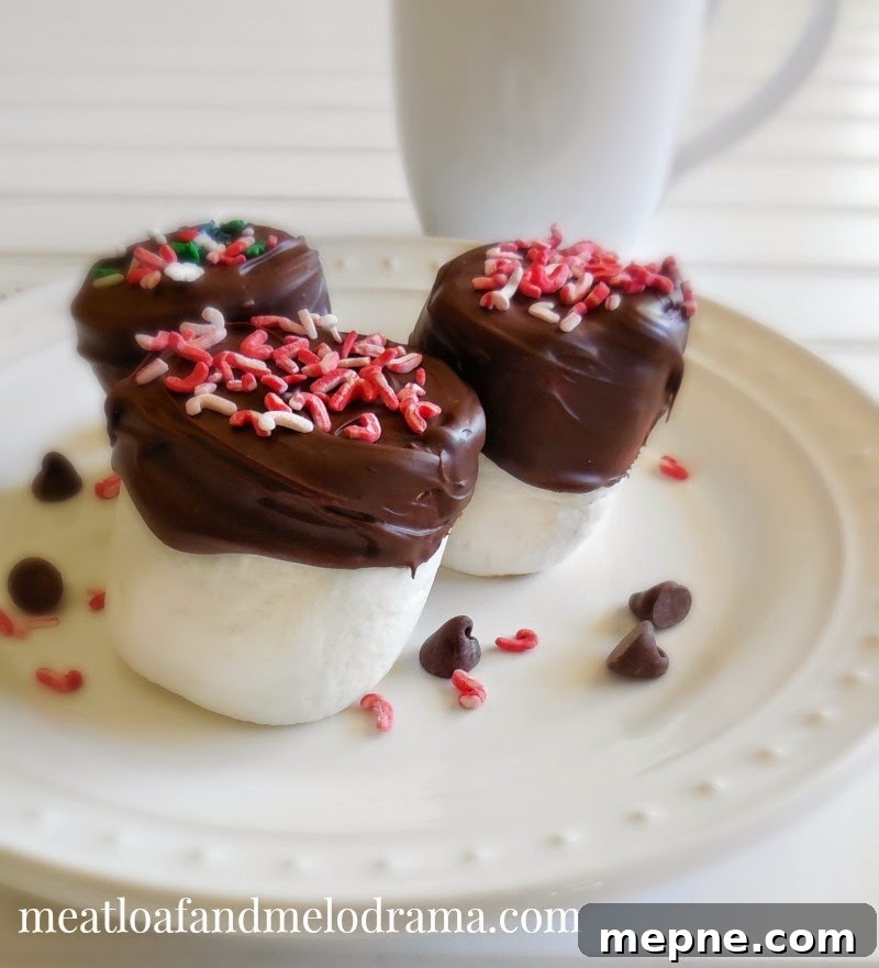 Fancy chocolate dipped marshmallows chocolate dipped marshmallows with candy cane sprinkles