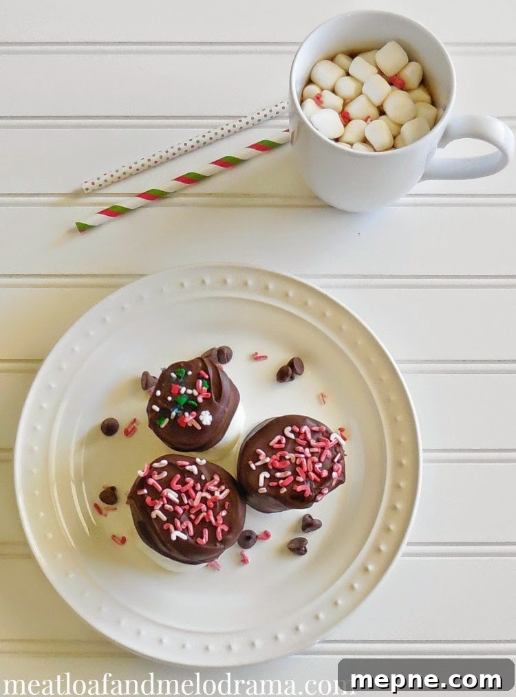 Fancy chocolate dipped marshmallows plate of chocolate dipped marshmallows with candy sprinkles and straws and cup of hot chocolate