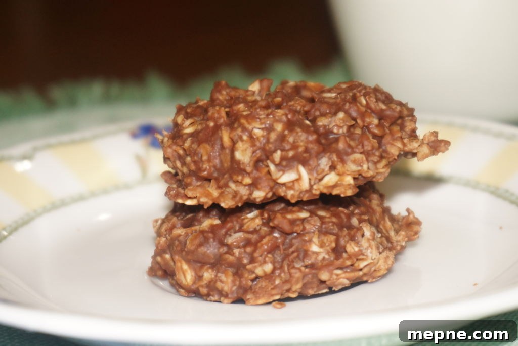 No Bake Cookies