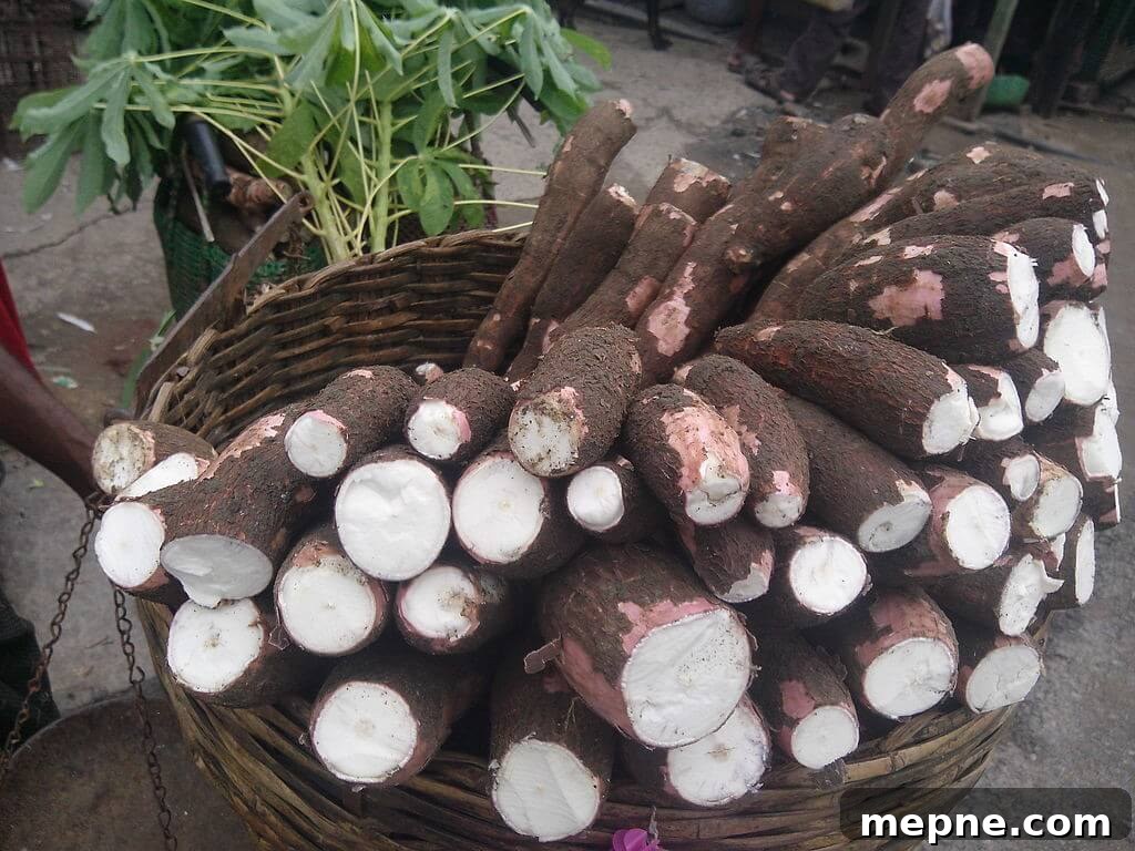 Cassava Flour: 5 Essential Facts for Cooking and Baking 2 Cassava root and flour
