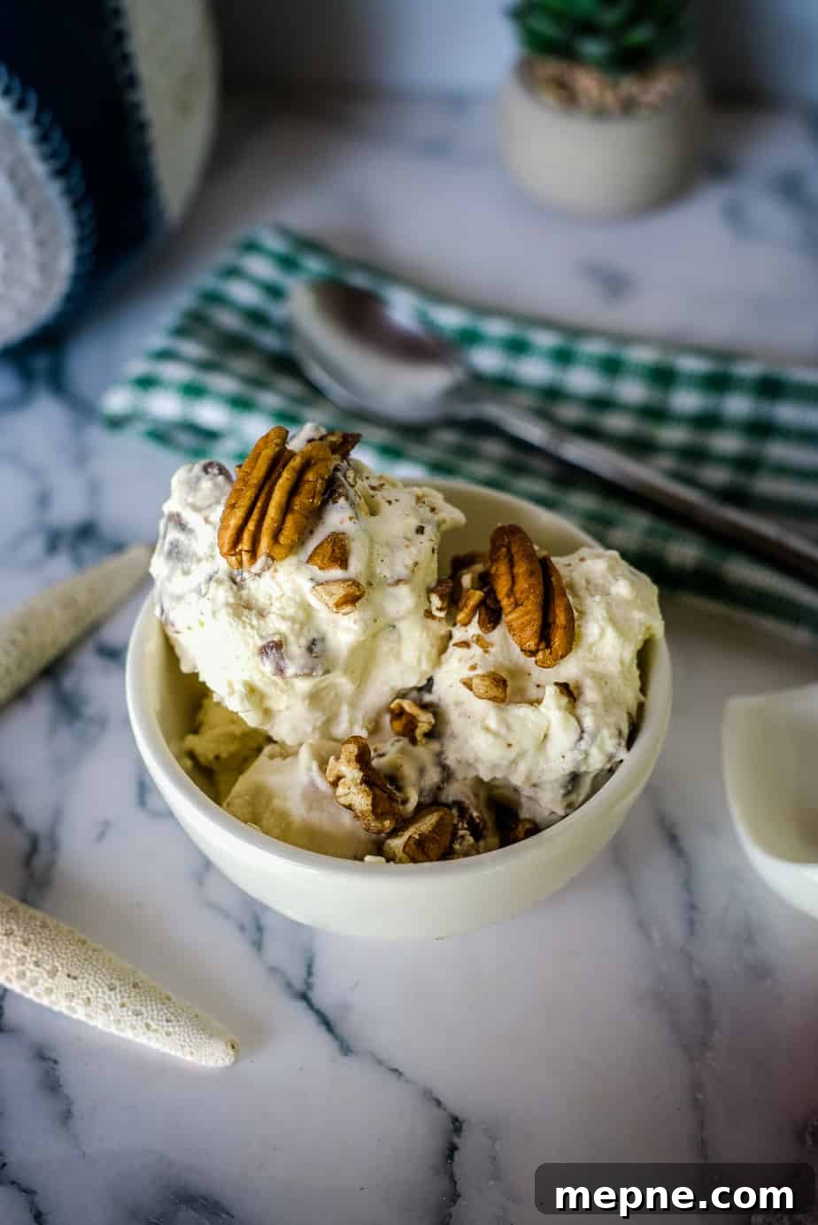 25 Low Carb Ice Cream Recipes for Creamy Keto Desserts 2 pecan ice cream in bowl