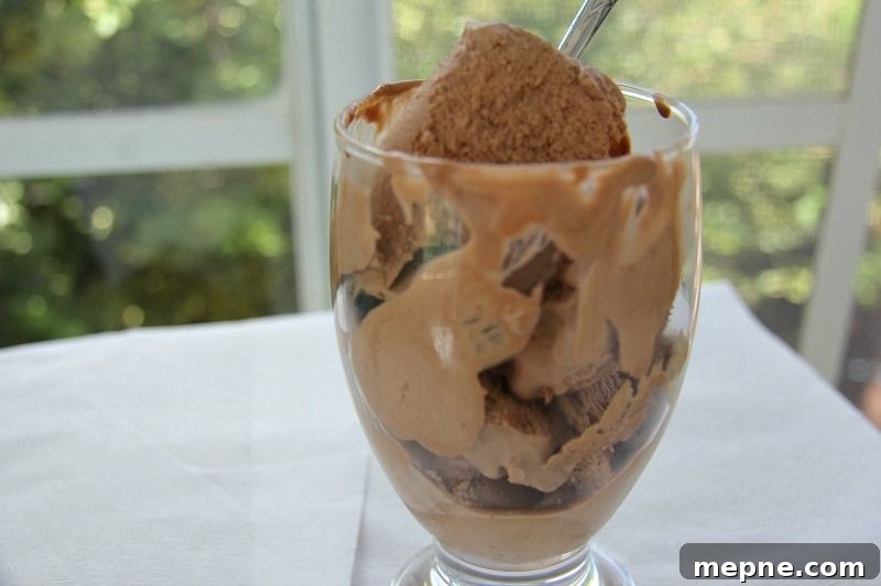 25 Low Carb Ice Cream Recipes for Creamy Keto Desserts 8 img 31979 11