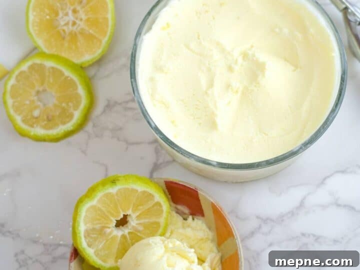 25 Low Carb Ice Cream Recipes for Creamy Keto Desserts 9 keto lemon curd ice cream
