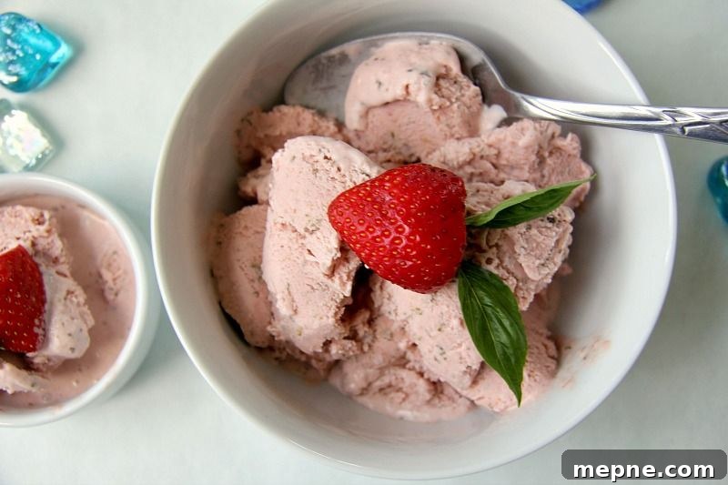 25 Low Carb Ice Cream Recipes for Creamy Keto Desserts 10 img 31979 13