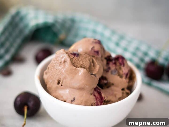 25 Low Carb Ice Cream Recipes for Creamy Keto Desserts 11 cherry chocolate ice cream