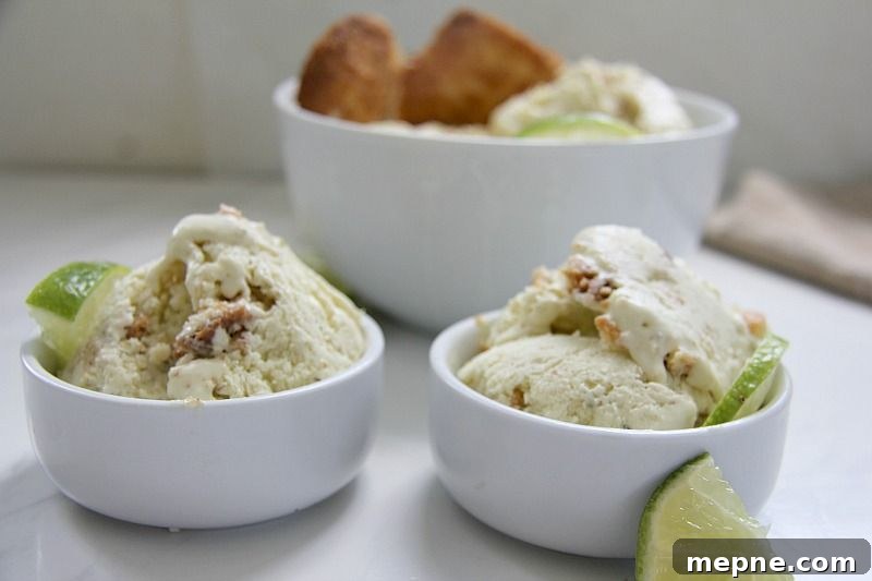 25 Low Carb Ice Cream Recipes for Creamy Keto Desserts 12 img 31979 15