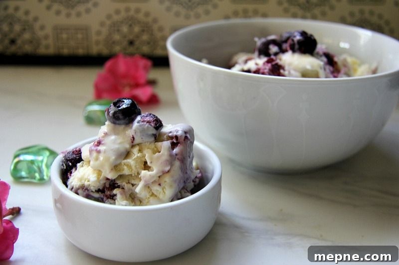 25 Low Carb Ice Cream Recipes for Creamy Keto Desserts 13 img 31979 16